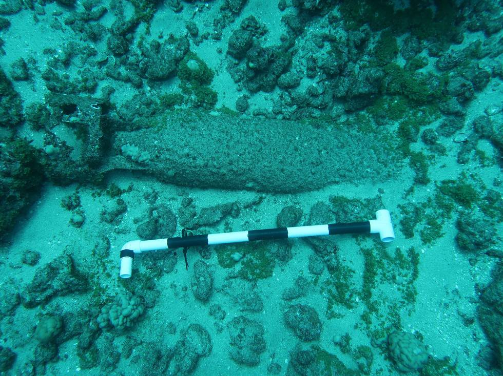 UXO Unexploded Ordnance survey